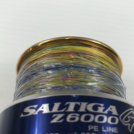 σσ DAIWA ダイワ スプール ソルティガZ6000GT 058942