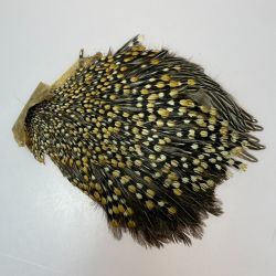 §§  フライマテリアル ジャングルコック 詳細不明 現状渡し品 Cランク