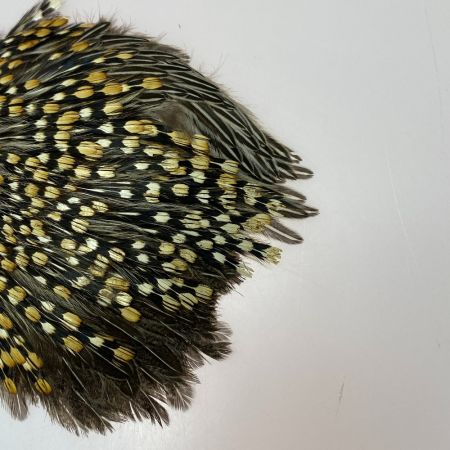   フライマテリアル ジャングルコック 詳細不明 現状渡し品