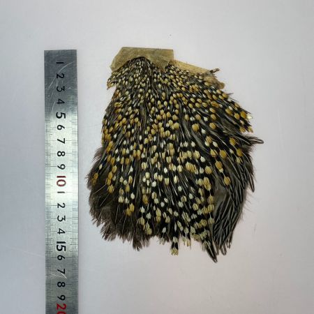   フライマテリアル ジャングルコック 詳細不明 現状渡し品