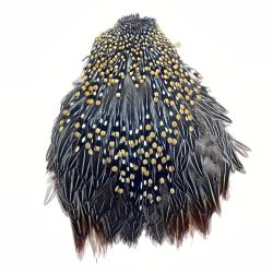 §§  フライマテリアル Jungle Cock ジャングルコック Cランク