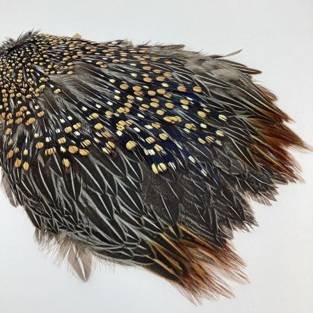   フライマテリアル Jungle Cock ジャングルコック