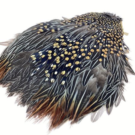   フライマテリアル Jungle Cock ジャングルコック