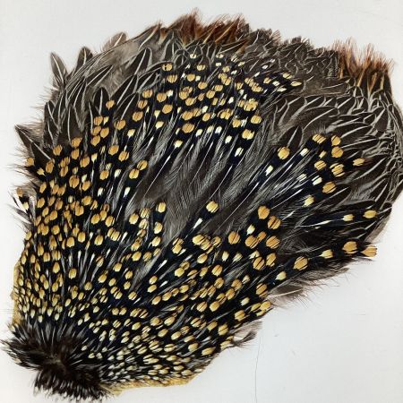   フライマテリアル Jungle Cock ジャングルコック