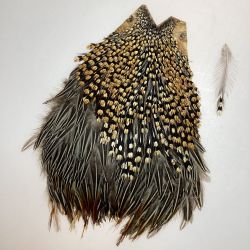 §§  ジャングルコック フライマテリアル Dランク