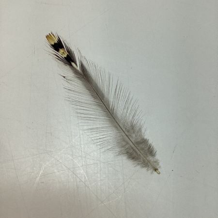   ジャングルコック フライマテリアル