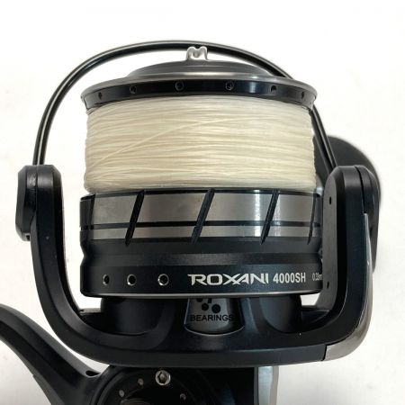  Abu Garcia アブガルシア ロキサーニ 4000SH スピニングリール ハンドルキャップ欠品