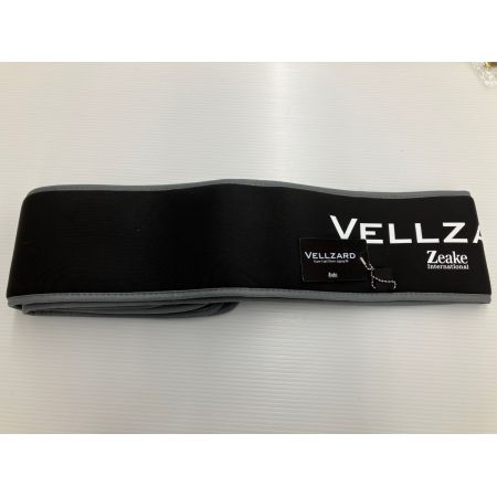 σσ Zeake ヴェルザード スーパーライトショアジギング99