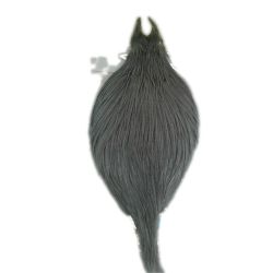 ハックルケープ　コックネック　ブルータン　使用感有 Bランク