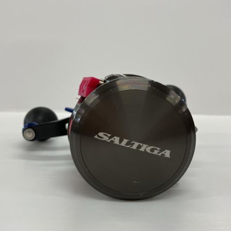 DAIWA ダイワ ベイトリール ソルティガBJ 100P-RM