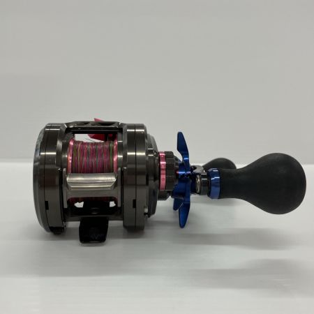 DAIWA ダイワ ベイトリール ソルティガBJ 100P-RM