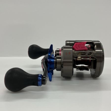 DAIWA ダイワ ベイトリール ソルティガBJ 100P-RM