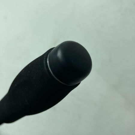 SHIMANO シマノ シーバスロッド ボーダレス254H3-T 25194 本体のみ