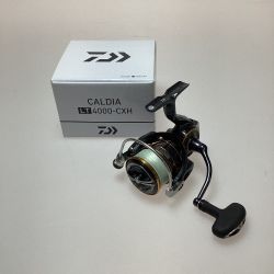 §§ DAIWA ダイワ 21カルディア LT4000-CXH 00060291 Bランク