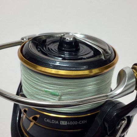  DAIWA ダイワ 21カルディア LT4000-CXH 00060291