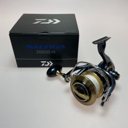 §§ DAIWA ダイワ 20ソルティガ 20000-H 00065009 Bランク
