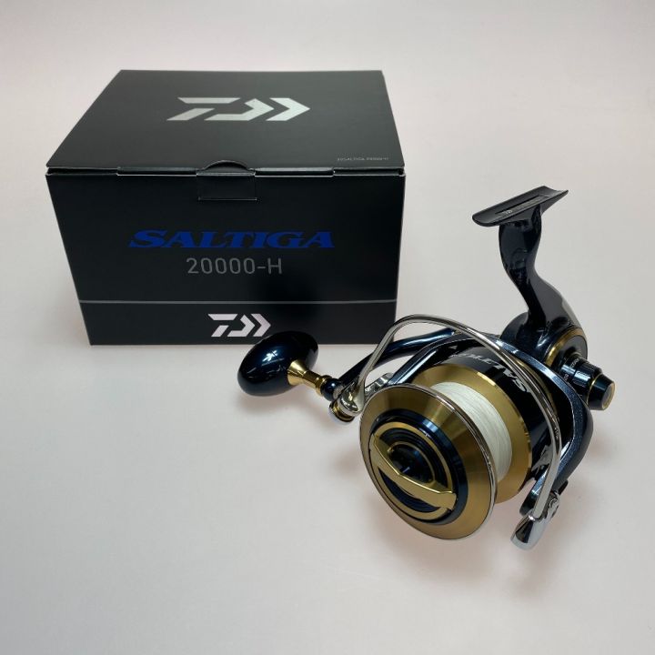 DAIWA ダイワ 20ソルティガ 20000-H 00065009｜中古｜なんでもリサイクルビッグバン