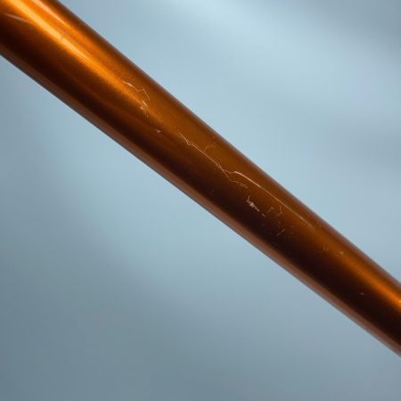 DAIWA ダイワ キャスティズム25-365 05267075