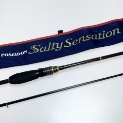 §§ EVER GREEN エバーグリーン ポセイドン ソルティセンセーション PSSS-78T ルアーロッド 程度AB 袋付 Aランク