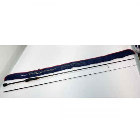  EVER GREEN エバーグリーン ポセイドン ソルティセンセーション PSSS-78T ルアーロッド 程度AB 袋付