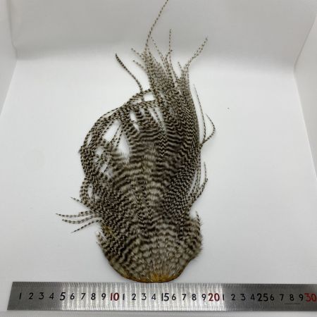   WHITING ドライフライハックル ブロンズルースターケープ ヘリテージ