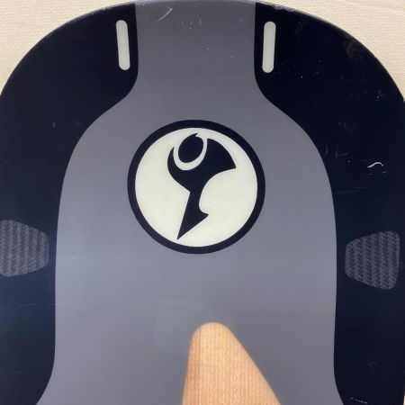 SANTACRUZ サンタクルズ スノーボード SANTACRUZ 146 グレー