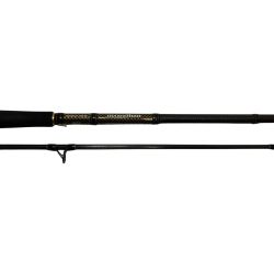 DAIWA ダイワ ルアーロッド モアザンブランジーノ AGS1010M/MH・J 01480204 Bランク