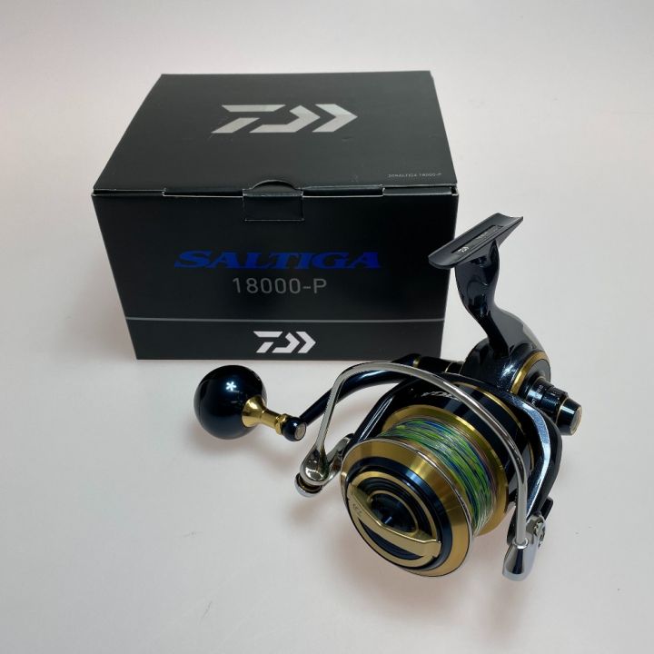 DAIWA SALTIGA 18000-P SALTIGA 18000-P + 20000スプールPE12 ダイワ