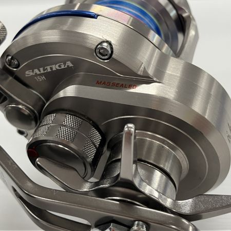 DAIWA ダイワ ベイトリール15ソルティガ 15H  607259