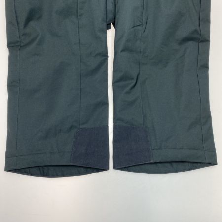  DESCENTE デサント LAXING INSULATED PANTS ブラック スキーウェア(パンツ) SIZE M