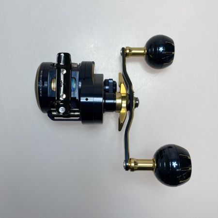  DAIWA ダイワ ソルティガIC 300 SLP WORKS SALTIGA ORDER SYSTEM ソルティガオーダーシステム ベイトリール 程度A 箱付