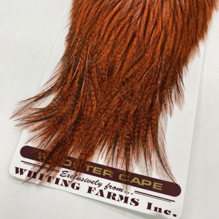  WHITING マーベリック  バジャーダイド オレンジ ドライフライ ケープ