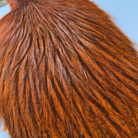  WHITING マーベリック  バジャーダイド オレンジ ドライフライ ケープ