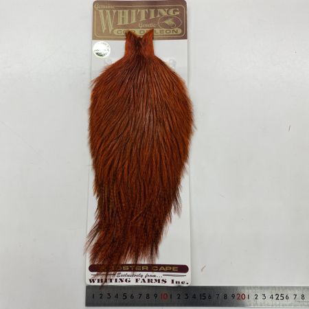  WHITING マーベリック  バジャーダイド オレンジ ドライフライ ケープ