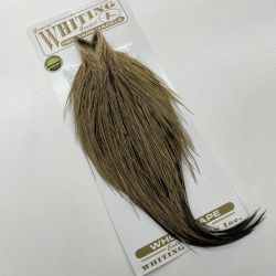 §§ WHITING ヘリテージ ハックル ケープ ドライフライケープ Dランク