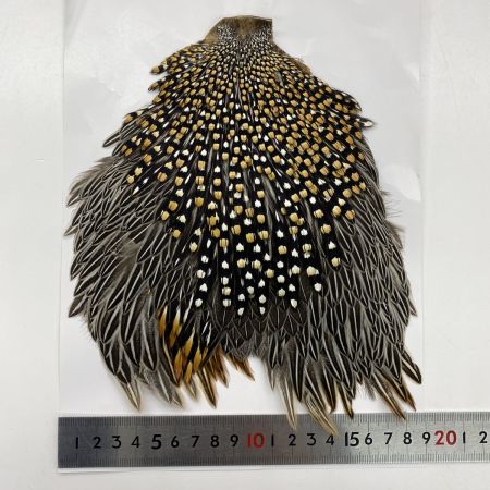   Jungle Cock ジャングルコック フライマテリアル