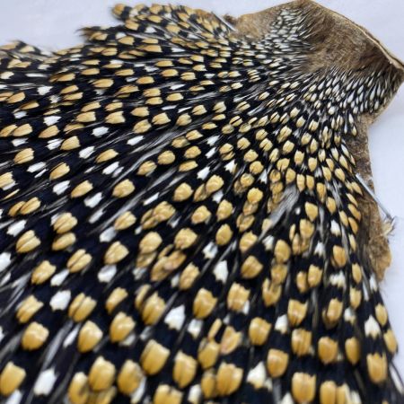   Jungle Cock ジャングルコック フライマテリアル