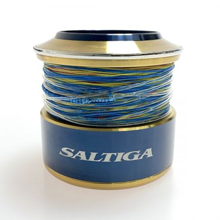  DAIWA ダイワ SLP WORKS 20ソルティガ20000 スプール 程度AB