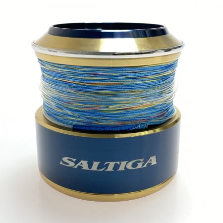  DAIWA ダイワ SLP WORKS 20ソルティガ18000 スプール 程度AB