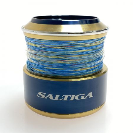  DAIWA ダイワ SLP WORKS 20ソルティガ18000 スプール 程度AB