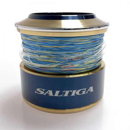  DAIWA ダイワ SLP WORKS 20ソルティガ20000 スプール 程度AB