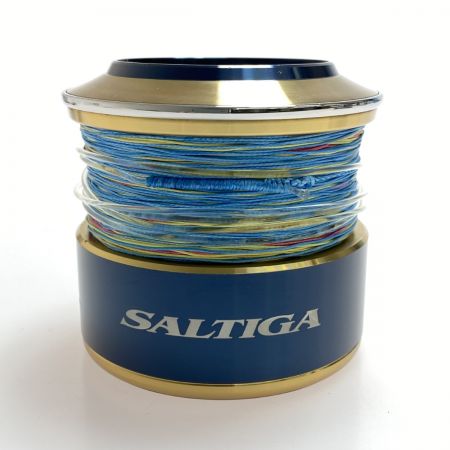  DAIWA ダイワ SLP WORKS 20ソルティガ20000 スプール 程度AB