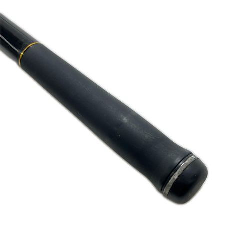 DAIWA ダイワ ロッド 投竿 トーナメントプロキャスターAGS 30-405 05268705