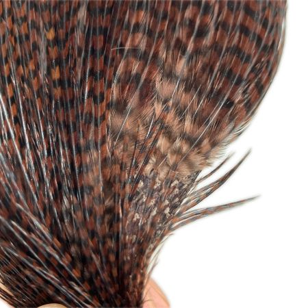 フライマテリアル　ハックルケープ　コックネック　グリズリーブラウン