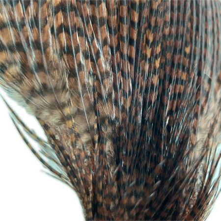 フライマテリアル　ハックルケープ　コックネック　グリズリーブラウン
