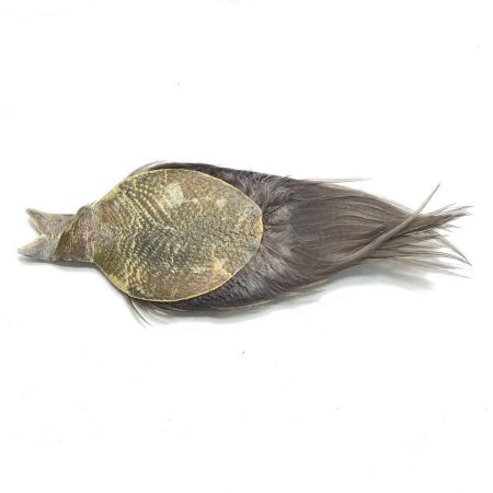  Whiting Farms ホワイティング シルバーグレード コックネック ダークダイドダン ルースターケープ