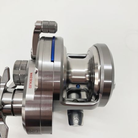  DAIWA ダイワ SALTIGA 15ソルティガ 10 00607251 ベイトリール