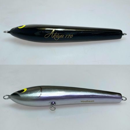  WooDream Akiya 170 ルアー 程度B