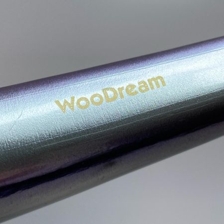  WooDream Akiya 170 ルアー 程度B