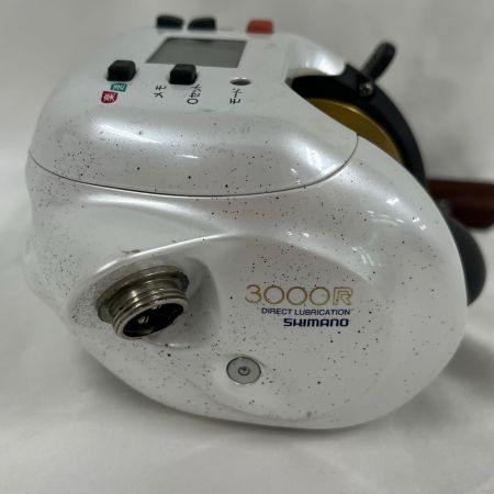  SHIMANO シマノ 電動リール 01電動丸 3000R RG183